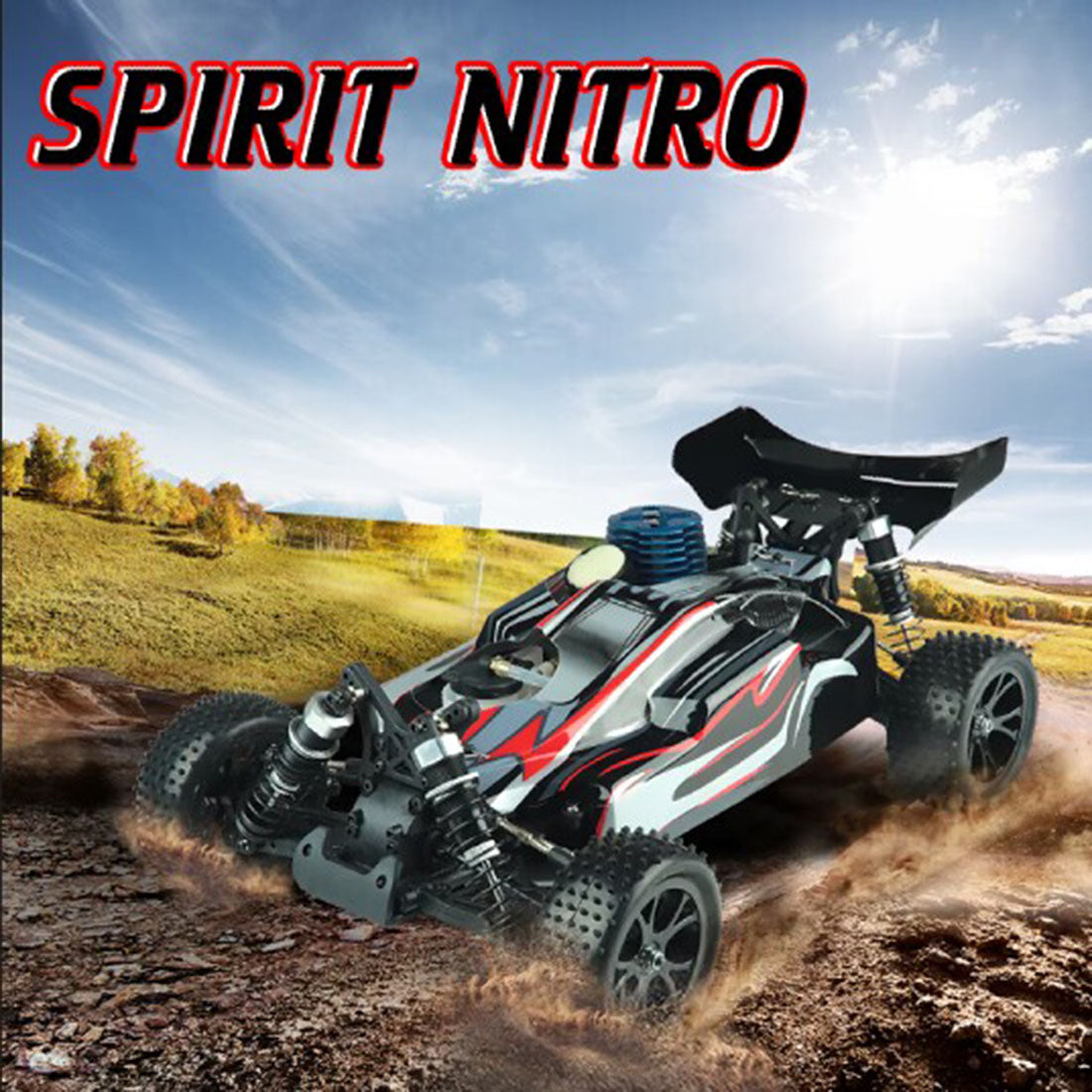 VRX RH1006 1/10 4WD Nitro High Speed RC Car R0070 RTR | RTRhobby