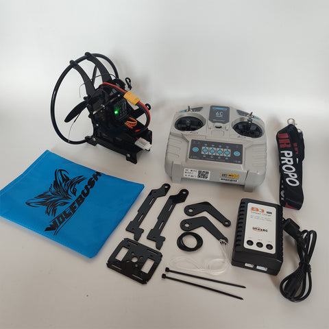 WOLFBUSH 2.4G 128cm Wingspan Mini Electric RC Stunt Paraglider Model (RTF)