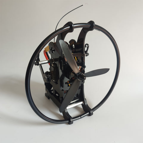 WOLFBUSH 2.4G 128cm Wingspan Mini Electric RC Stunt Paraglider Model (RTF)